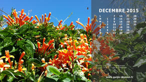 Calendrier Décembre 2015 - Ile de la Réunion