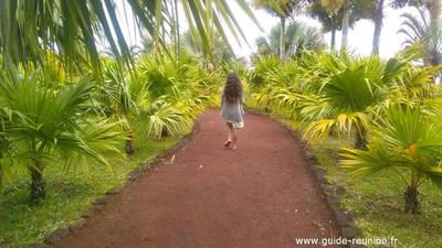 Le parc des palmiers au Tampon