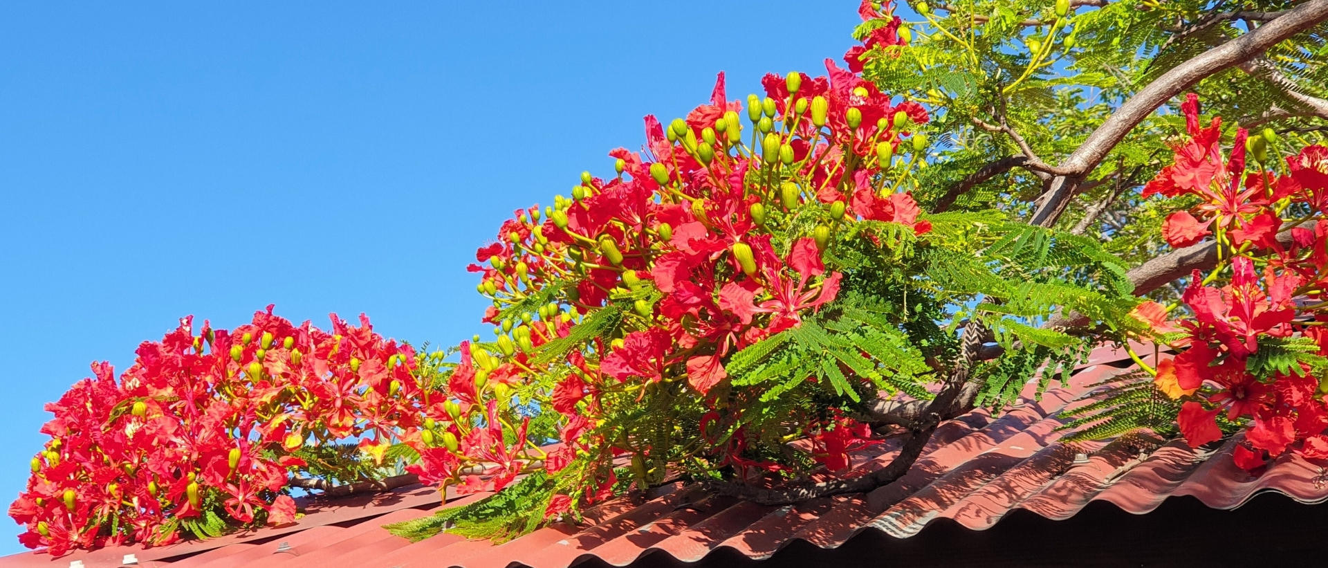 Calendrier La Réunion (974)