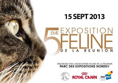 Exposition Féline Réunion