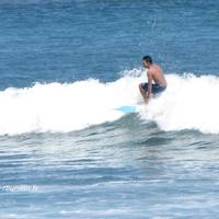 Surf (illustration)