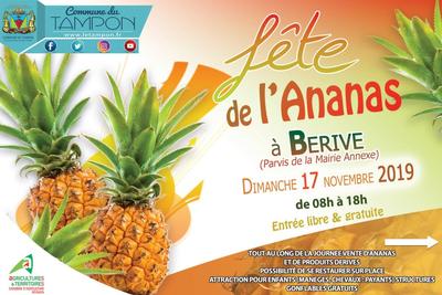 Fête de l'ananas - Quartier de Bérive - Le Tampon - La Réunion
