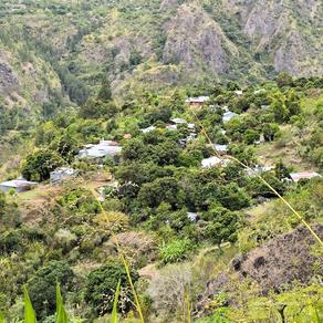 Ilet des lataniers à Mafate