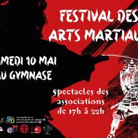 Festival des arts martiaux à Petite-Île