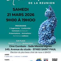Exposition Féline Réunion