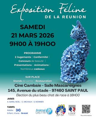 Exposition féline à La Réunion (974) Exposition Féline Réunion