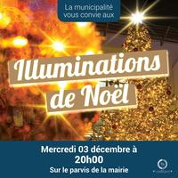 Illuminations de Noël à l'Etang-Salé