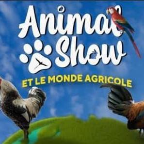Salon Animal Show - Saint-André - La Réunion (974)