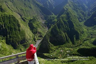 Bois-Court (crédit photo : Parc national de La Réunion - Hervé Douris)