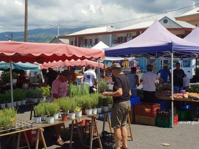 Stands au marché de St-Louis