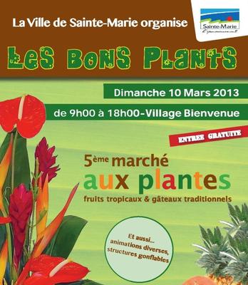 Les bons plants - Sainte-Marie