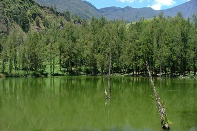 Mare à poule d'eau - Cirque de Salazie