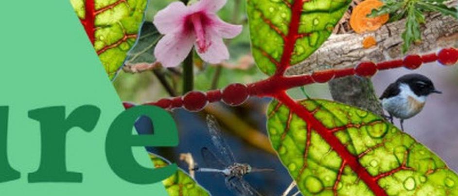 Fête de la nature - Réunion (974)