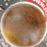 Biere fraiche