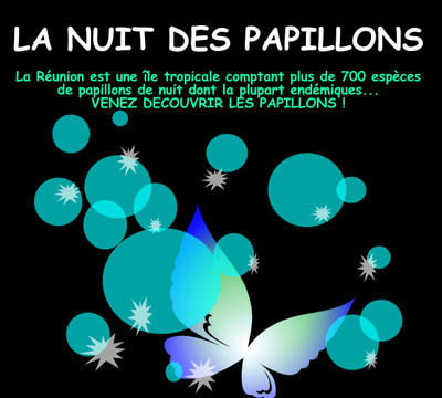 Nuit des papillons