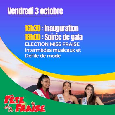 Programme de la fête de la fraise - vendredi