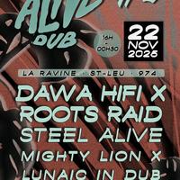 Dub Festival à La Réunion