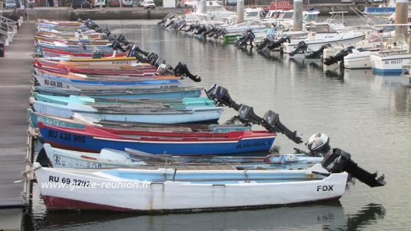 Barques colorées de pêche au port de Saint-Pierre