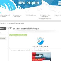 Capture du site dédié au risque requin