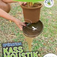 Kass Moustik 2012