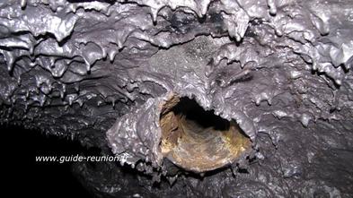 Périmorphose d'un arbre dans une coulée de lave, La Réunion