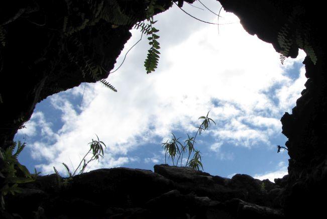 Tunnel de lave La Réunion