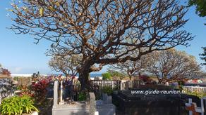 Cimetière de Saint-Leu, vers la pointe au Sel