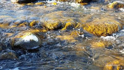 Actualité sur la ressource en eau à La Réunion