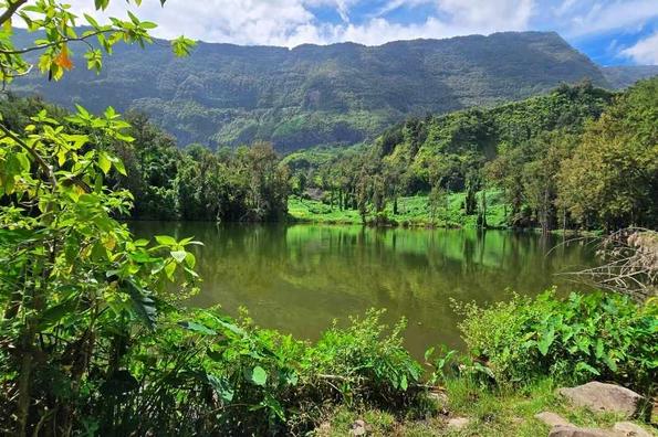 Mare à poule d'eau à Salazie