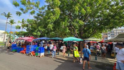 Marché du Port : un marché forain ombragé à La Réunion