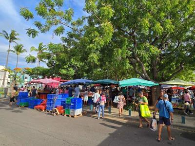 Marché du Port : un marché forain ombragé à La Réunion