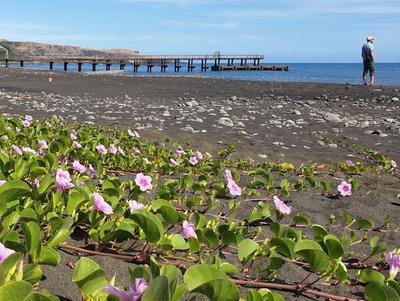 Plage de Saint-Paul - La Réunion (974)