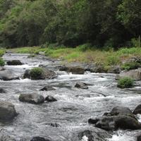 Langevin (Photo archives)