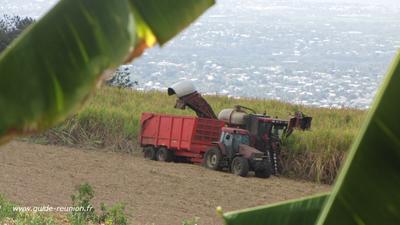 La machine vient aider l'homme pour finir la campagne à temps à la Réunion