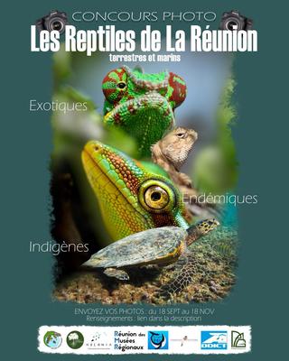 Concours photos : les reptiles de La Réunion