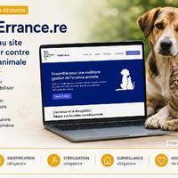 Capture illustrée du site StopErrance.re dédié à la lutte contre l'errance animale à La Réunion.