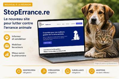 Capture illustrée du site StopErrance.re dédié à la lutte contre l'errance animale à La Réunion.