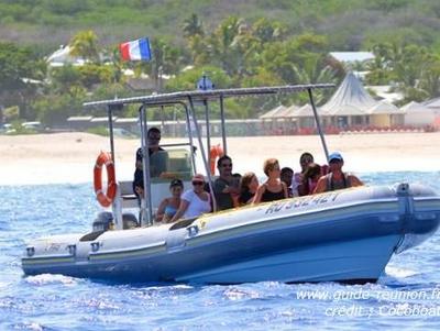 Sorties en mer avec Cocoboat à La Réunion