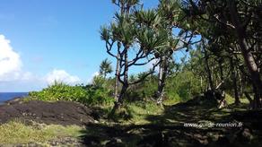 Paysage le long du littoral :
