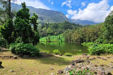Vue paisible de la Mare à Poule d’Eau