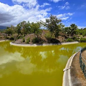 Plan d'eau du parc boisé du Port
