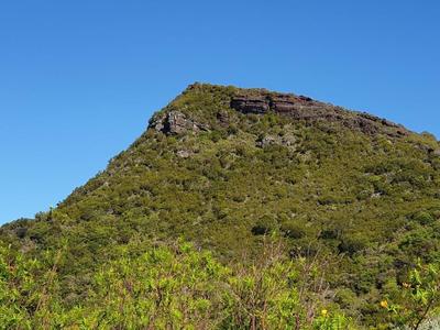 Le Nez de Boeuf -  Sommet à La Réunion - Alt 2136 m