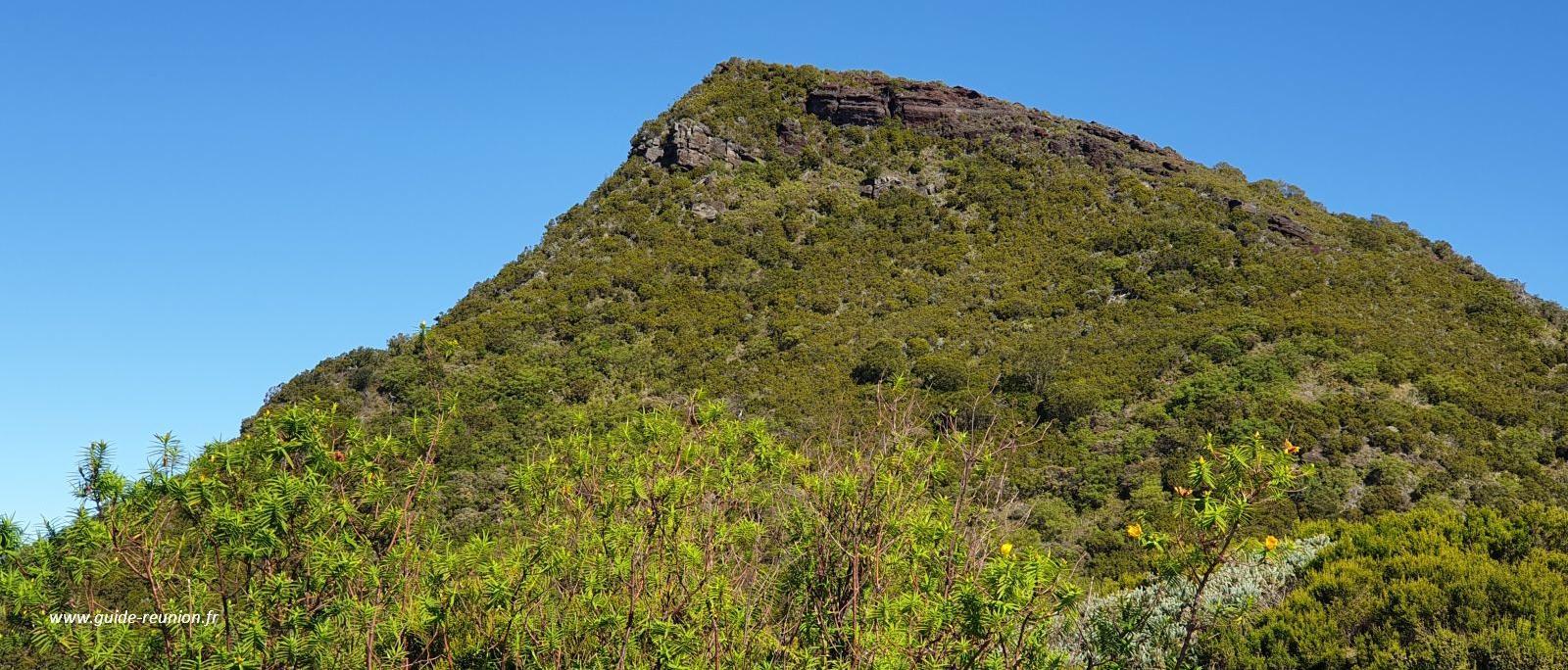 Le Nez de Boeuf -  Sommet à La Réunion - Alt 2136 m