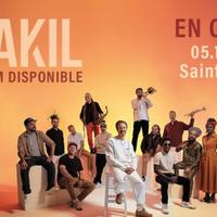 Danakil en concert à la Réunion (974)