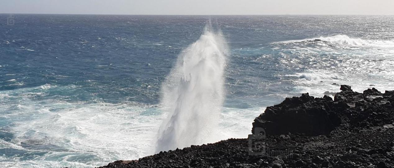 Souffleur Pointe au Sel - Saint-Leu - Ouest - La Réunion