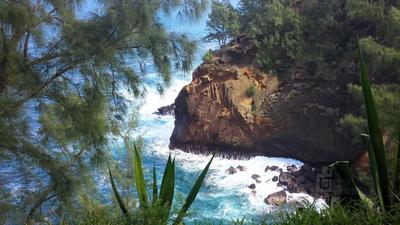 Cap Jaune à St-Joseph de La Réunion