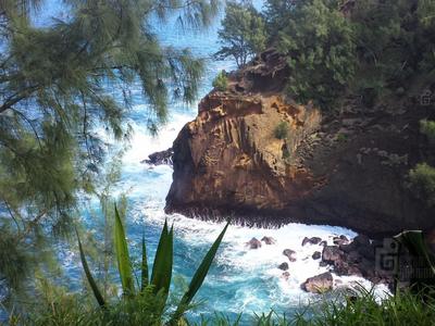 Cap Jaune à St-Joseph de La Réunion