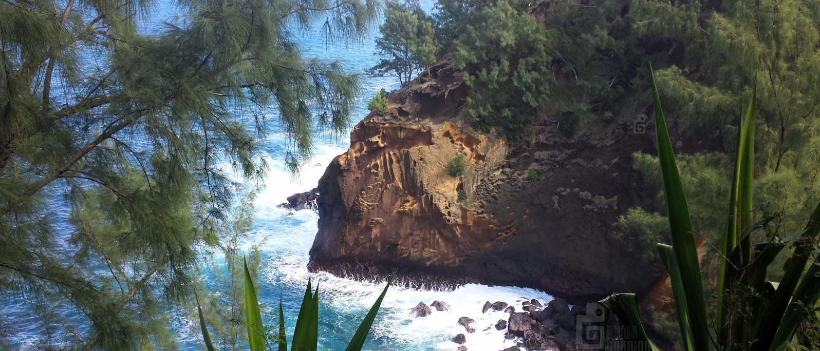 Cap Jaune à St-Joseph de La Réunion