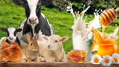 Miel Vert - Plaine des Cafres - Le Tampon - La Réunion Miel Vert - Plaine des Cafres - Le Tampon - La Réunion