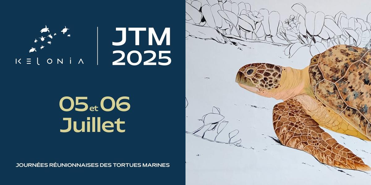 Journées des tortues 2025 à Kélonia - Saint-Leu - La Réunion Journées des tortues à Kélonia - Saint-Leu - La Réunion
